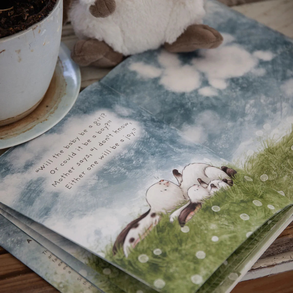 Who Will Our New Baby Be? Book