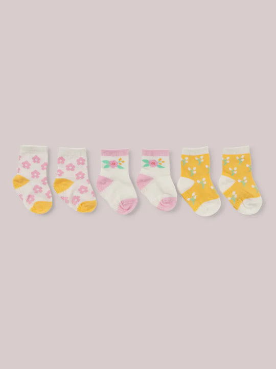 Baby Sock Trio