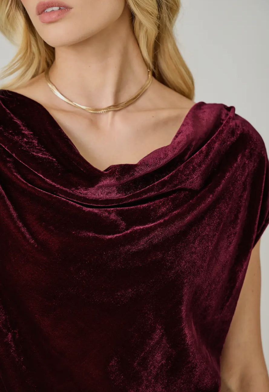 Velvet Cowl Neck Top