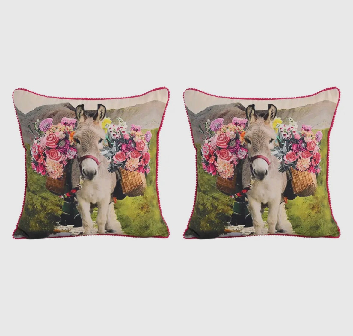 Donkey Pillow (Serape back)