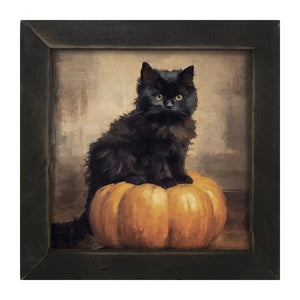 Cat On Pumpkin