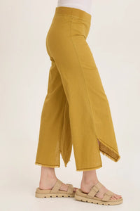 Astri Pant