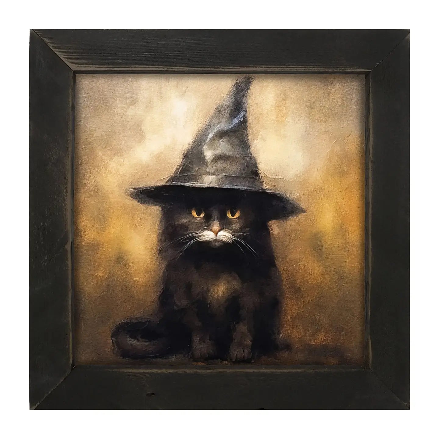 Cat with Witch Hat