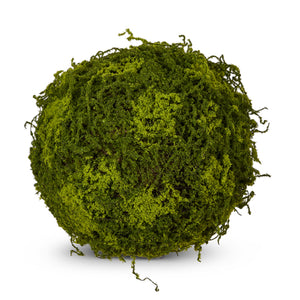 Moss Ball