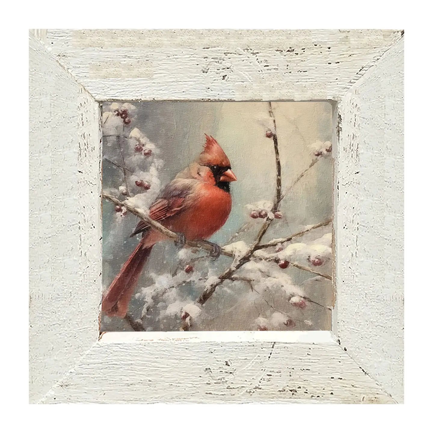 Cardinal in Winter