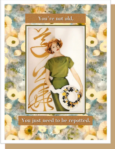 Ümlaut Cards