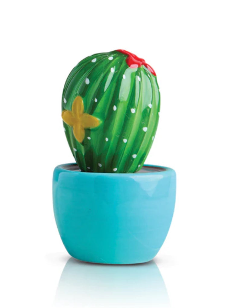 Can’t Touch This Cactus Mini
