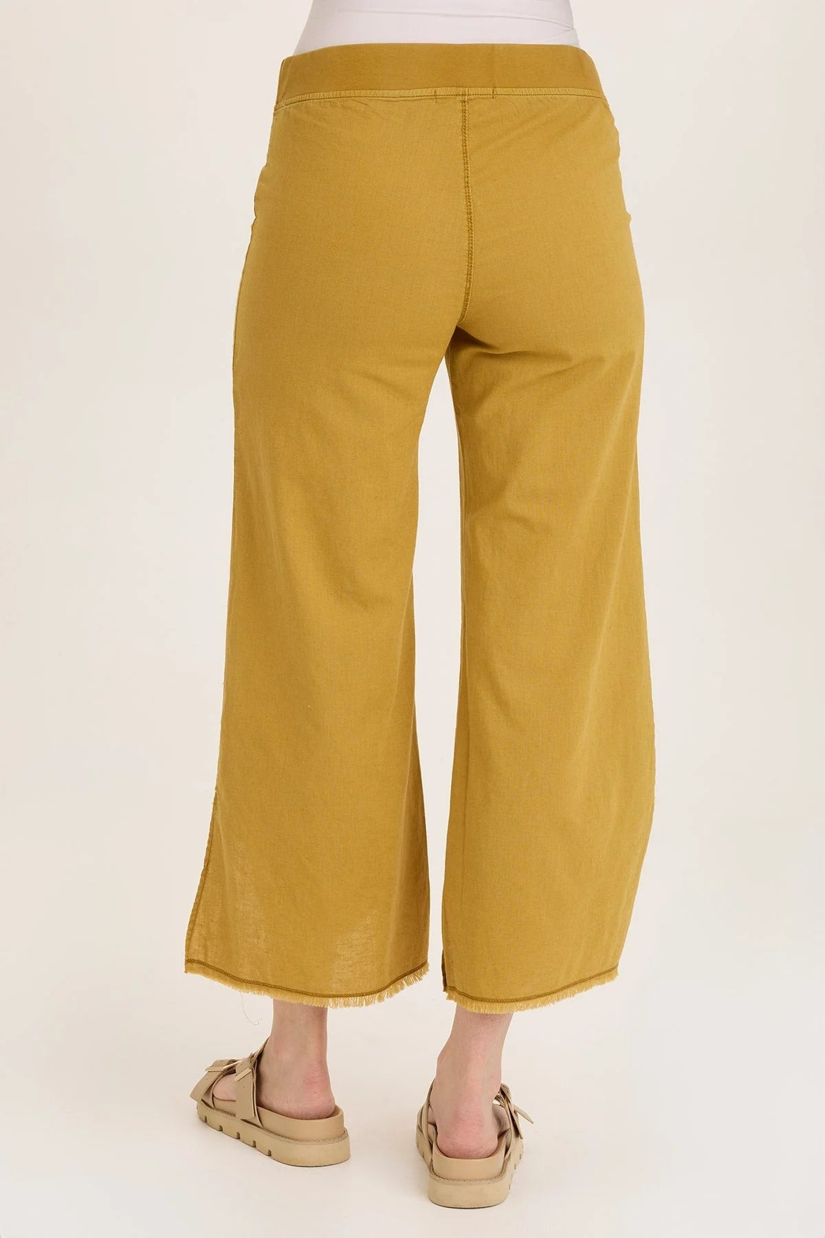 Astri Pant