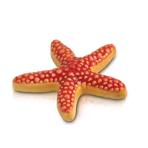 Sea Star Mini