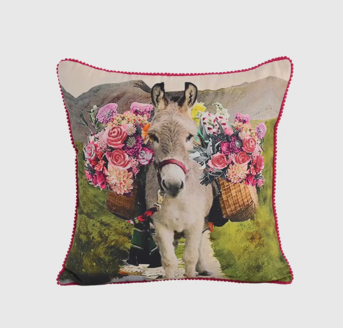 Donkey Pillow (Serape back)