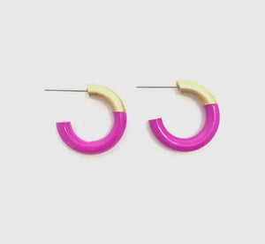 Liz Small Hoop Earrings