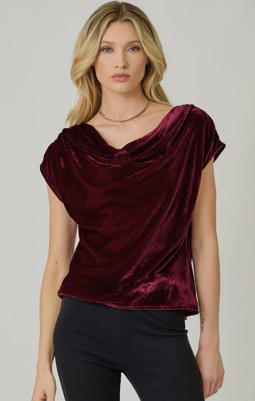 Velvet Cowl Neck Top