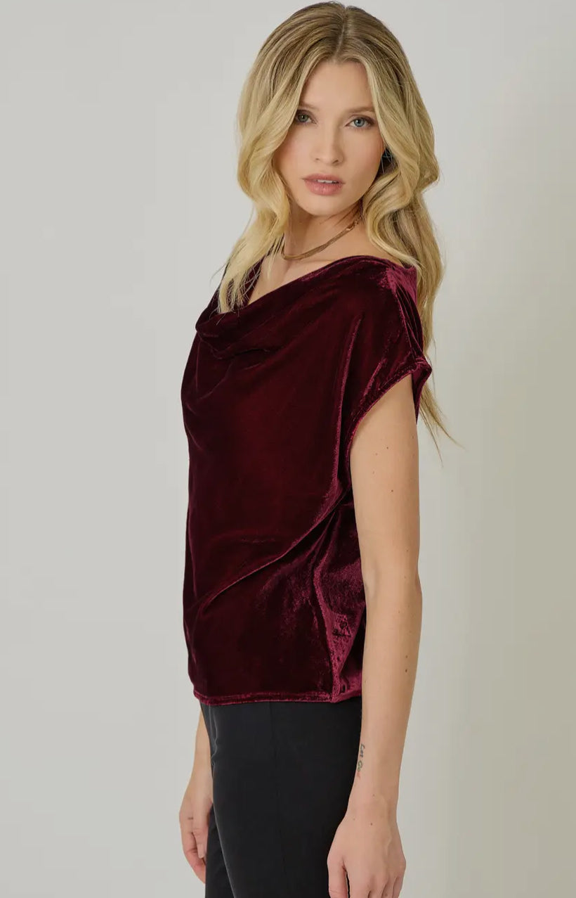 Velvet Cowl Neck Top