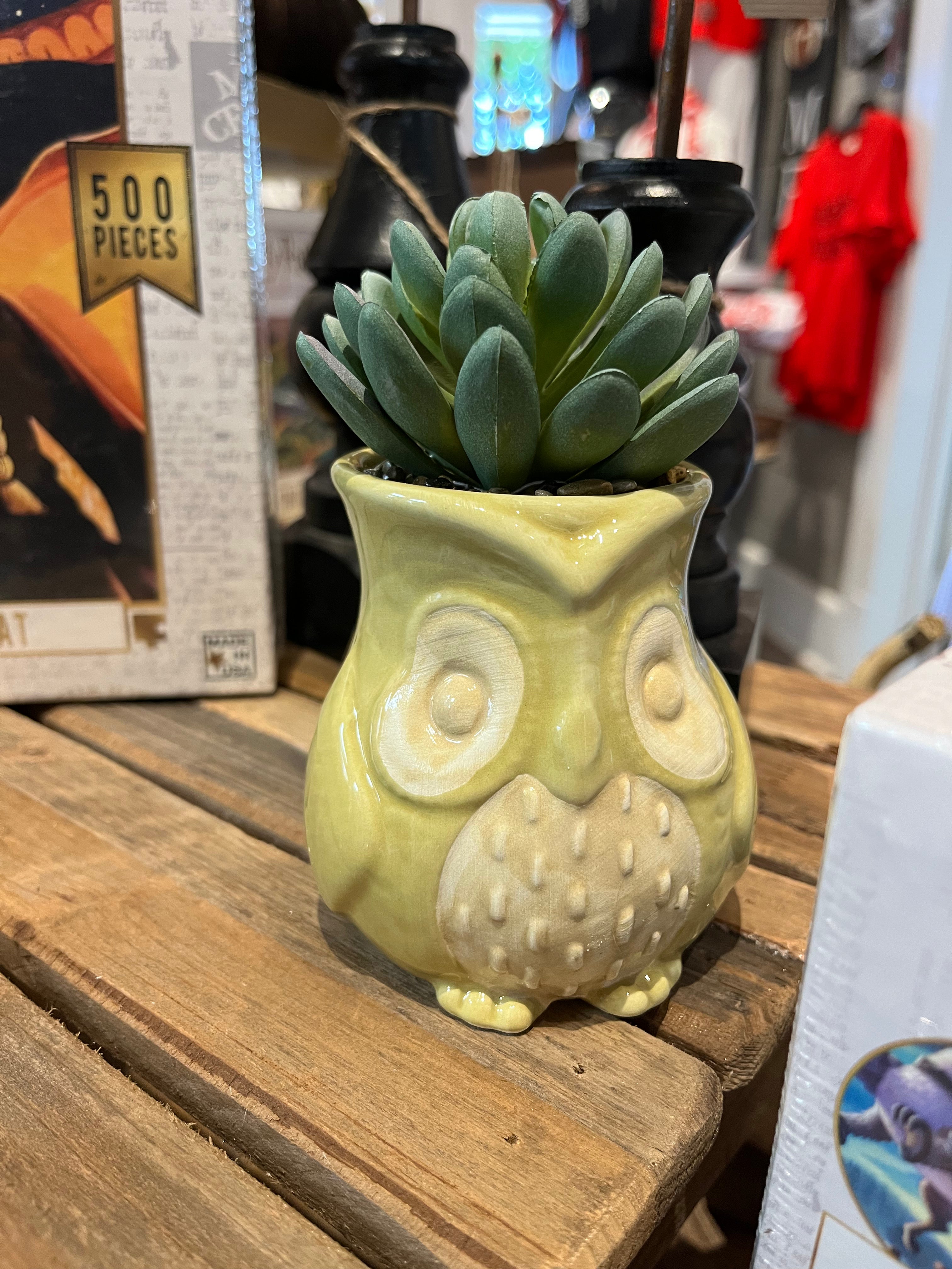 Ceramic Cozy Woodland Owl