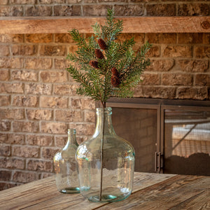 Douglas Fir Branch Grey Green