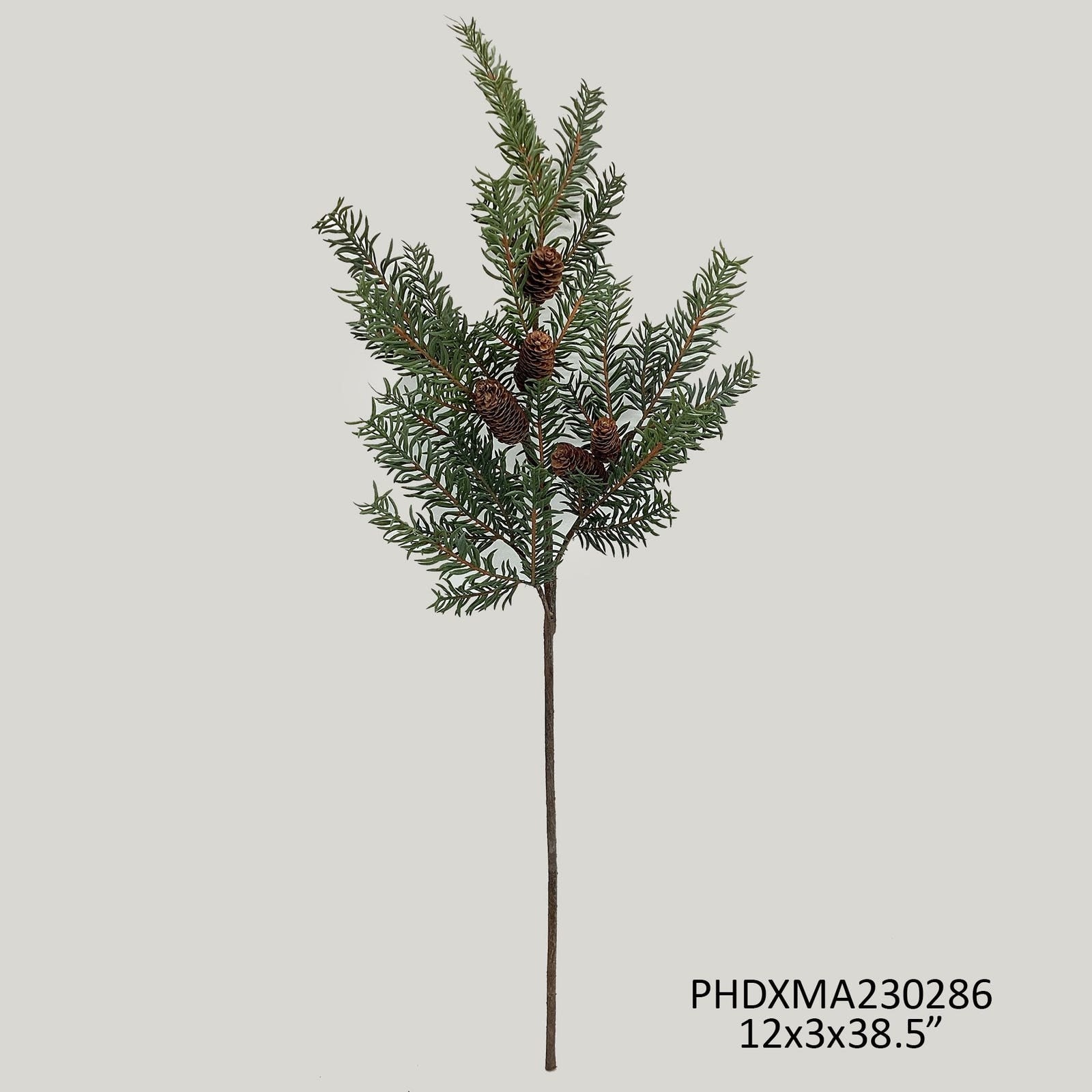 Douglas Fir Branch Grey Green