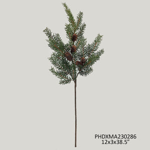 Douglas Fir Branch Grey Green