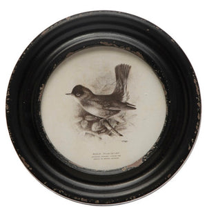 Framed Wall Décor w/ Bird