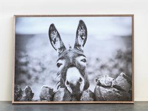 Framed Canvas Wall Decor with Donkey