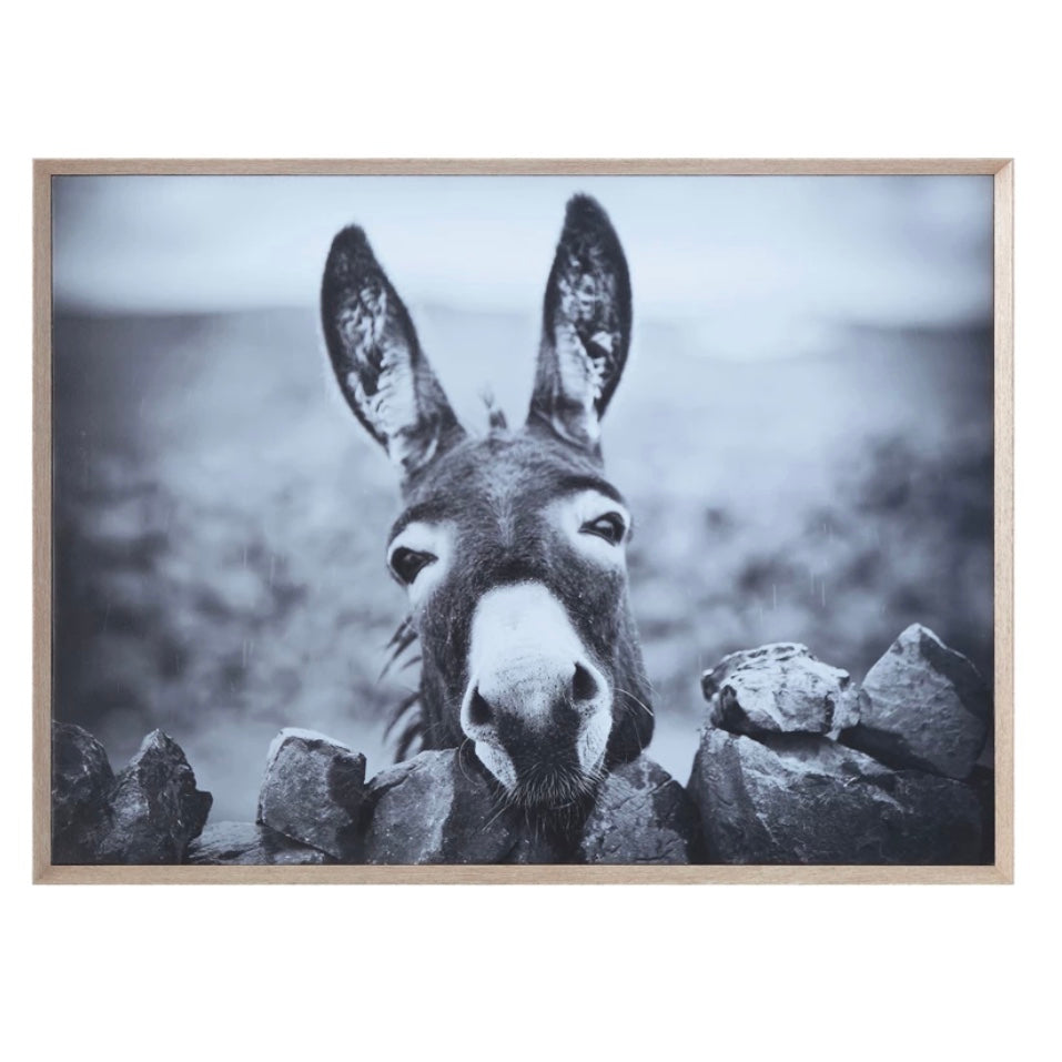 Framed Canvas Wall Decor with Donkey