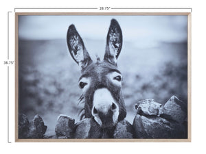 Framed Canvas Wall Decor with Donkey