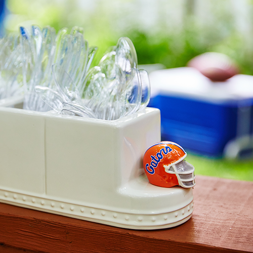 U. Florida Helmet